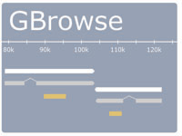 GBrowse